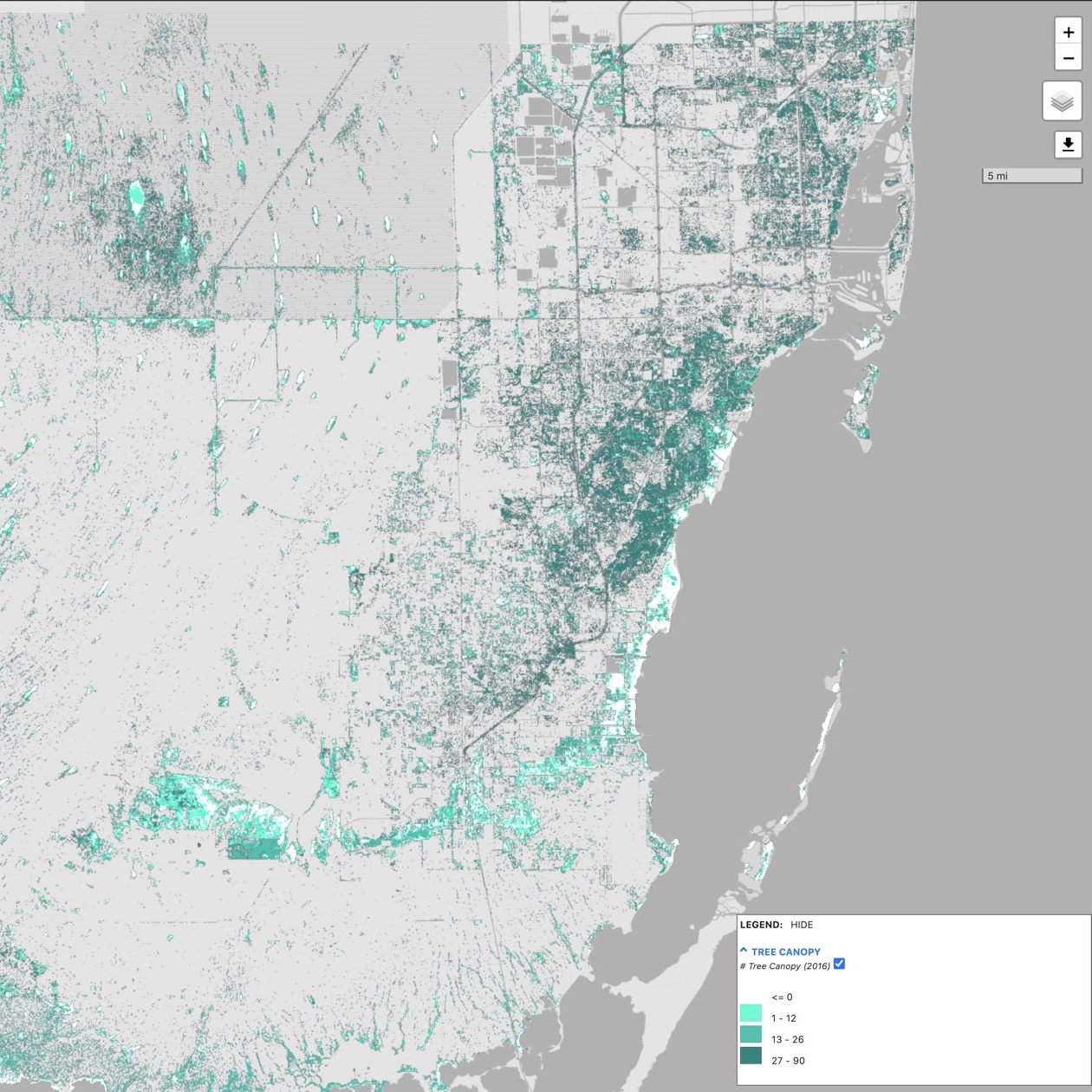 tree canopy map